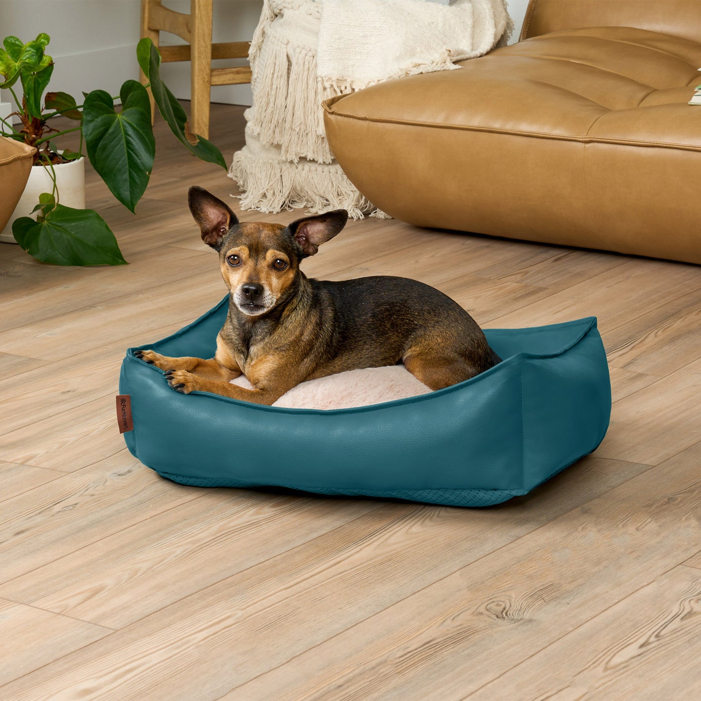 Leather Look Cozy Couch Pet Bed