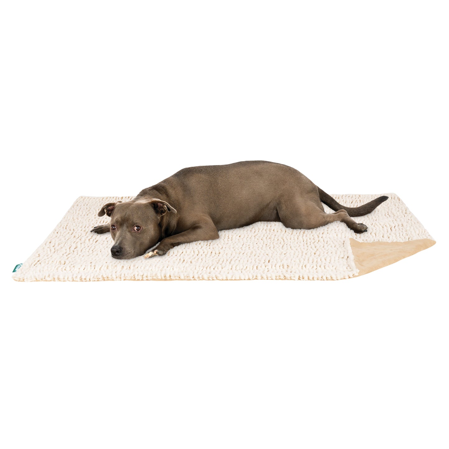 Birch Faux Fur & Suede Waterproof Pet Blanket
