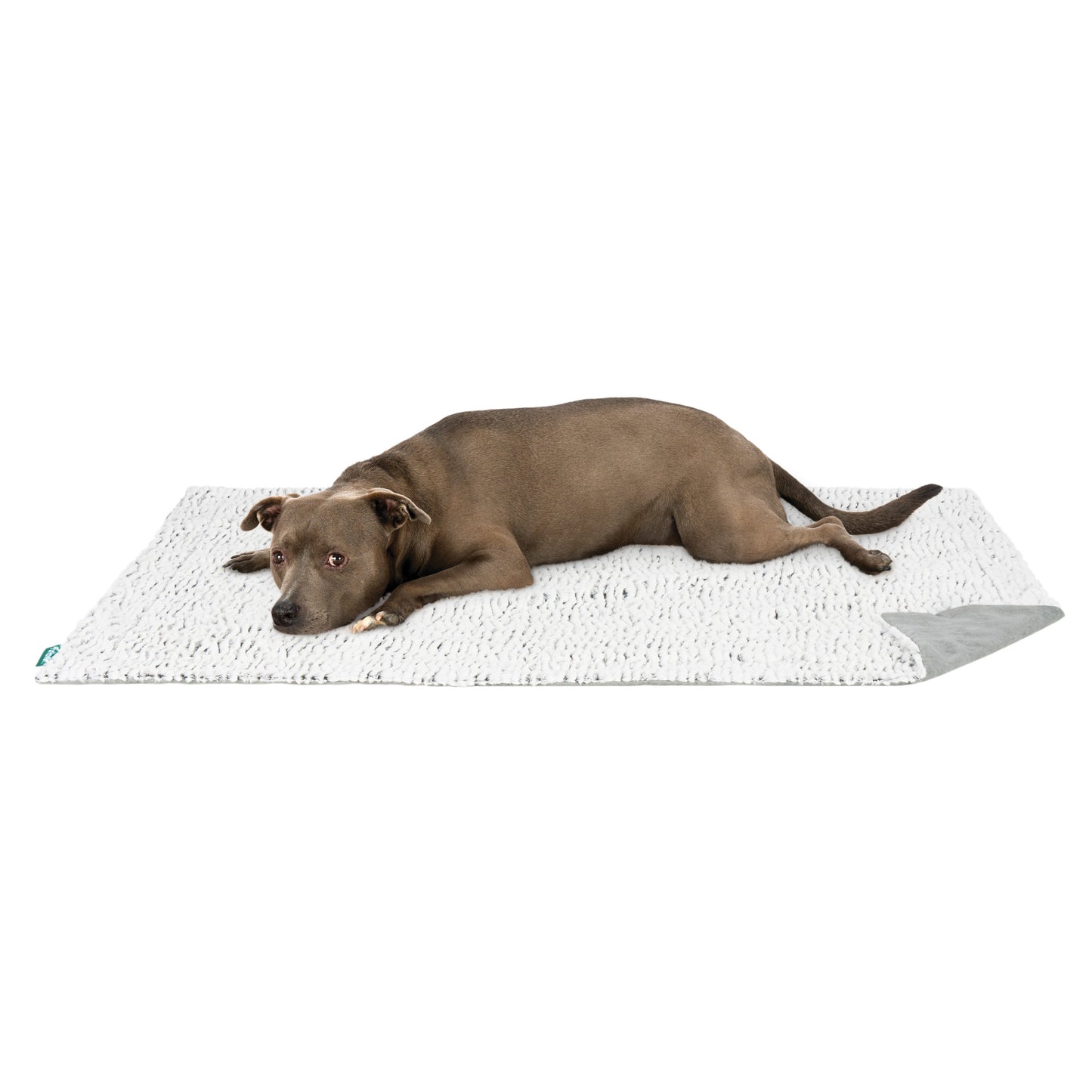 Birch Faux Fur & Suede Waterproof Pet Blanket