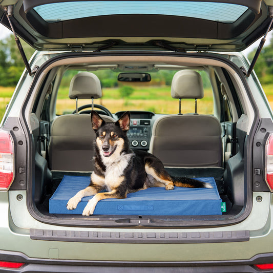 Grid Indoor-Outdoor Deluxe Mattress Pet Bed