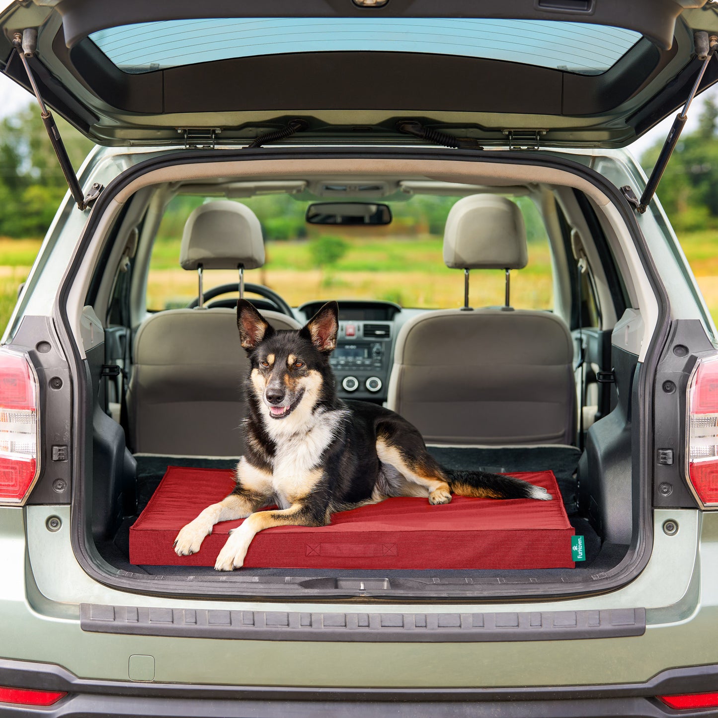 Grid Indoor-Outdoor Deluxe Mattress Pet Bed