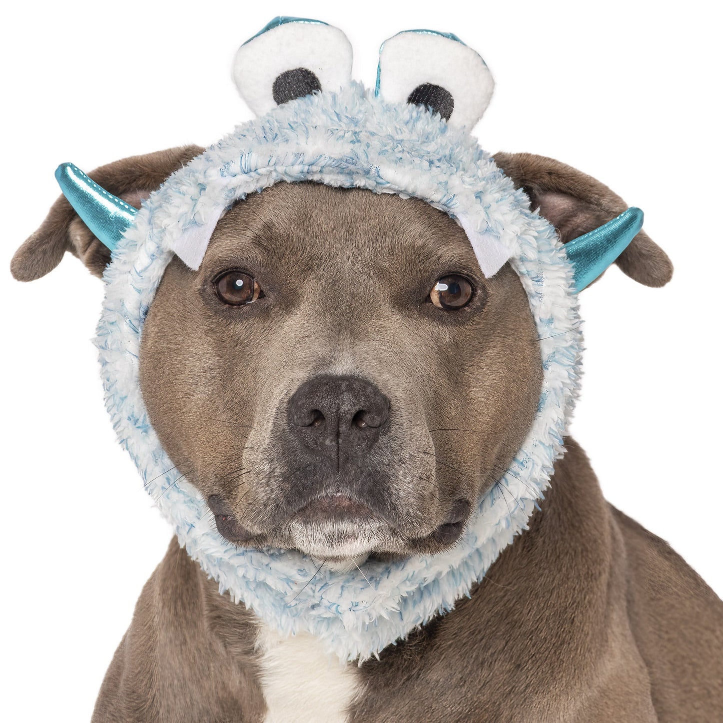 Flex-Fit Costume Hat (Coordinates with Flex-Fit Reversible Dog Coat)