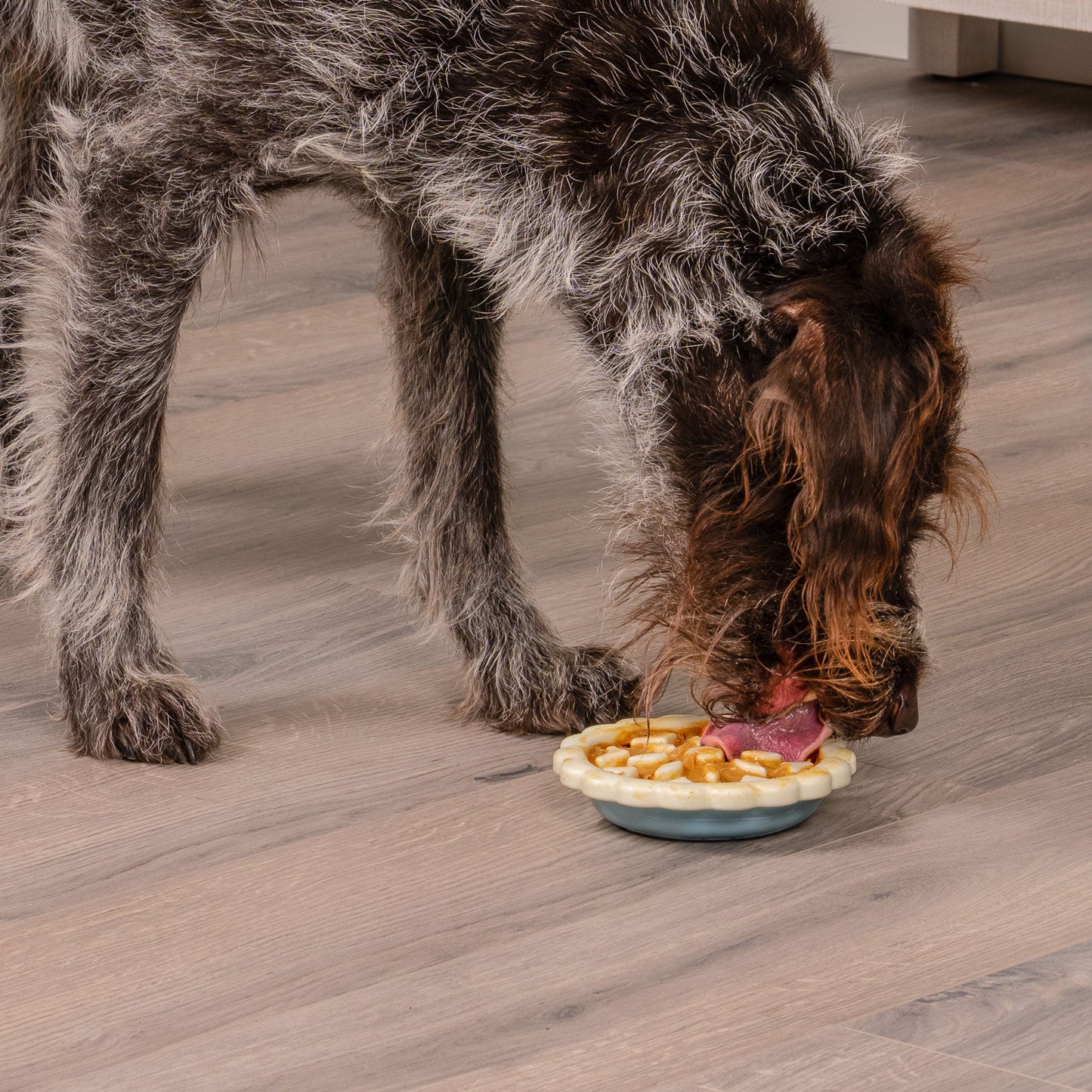Paws N' Play Pie Slow Feeder Dog Toy