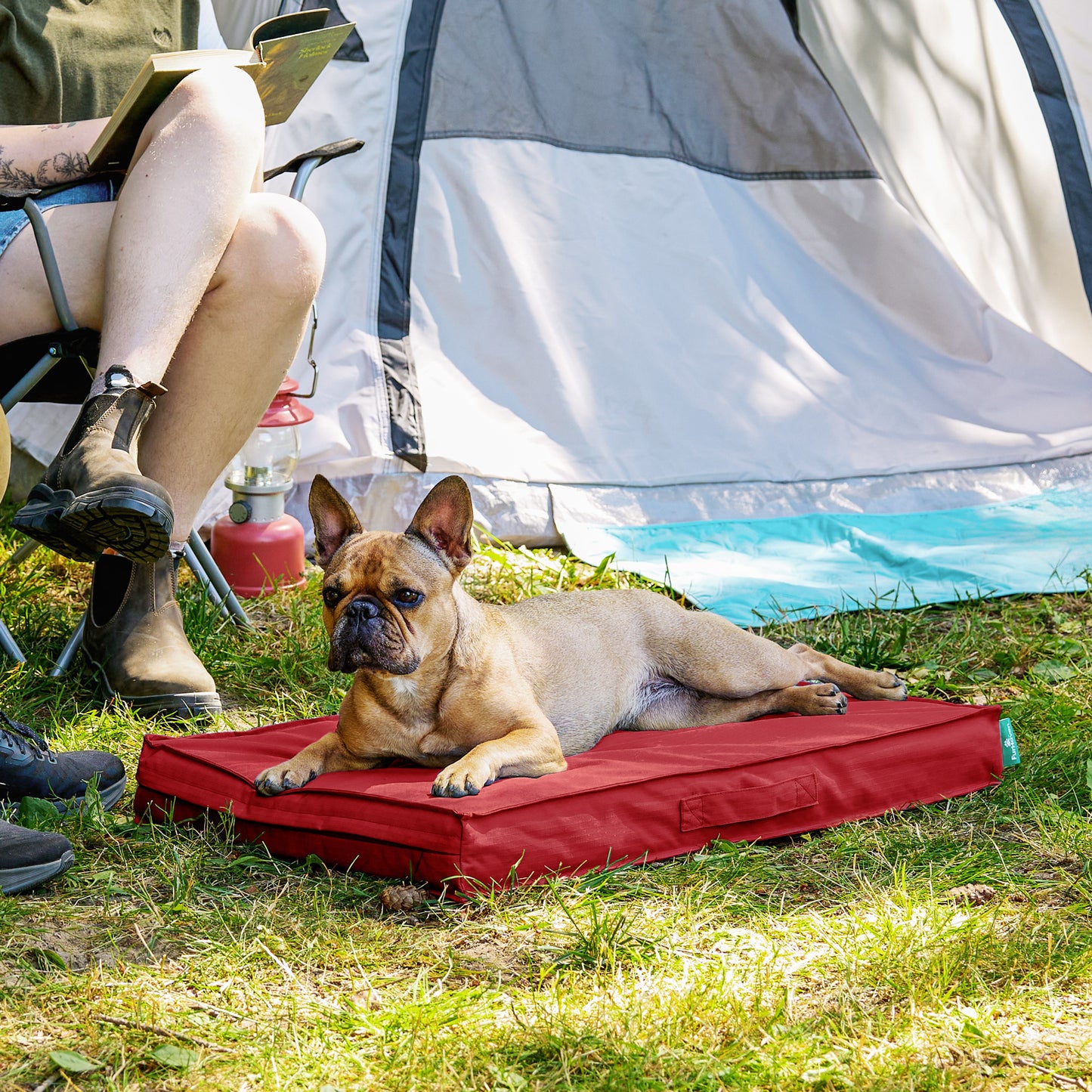 Grid Indoor-Outdoor Deluxe Mattress Pet Bed