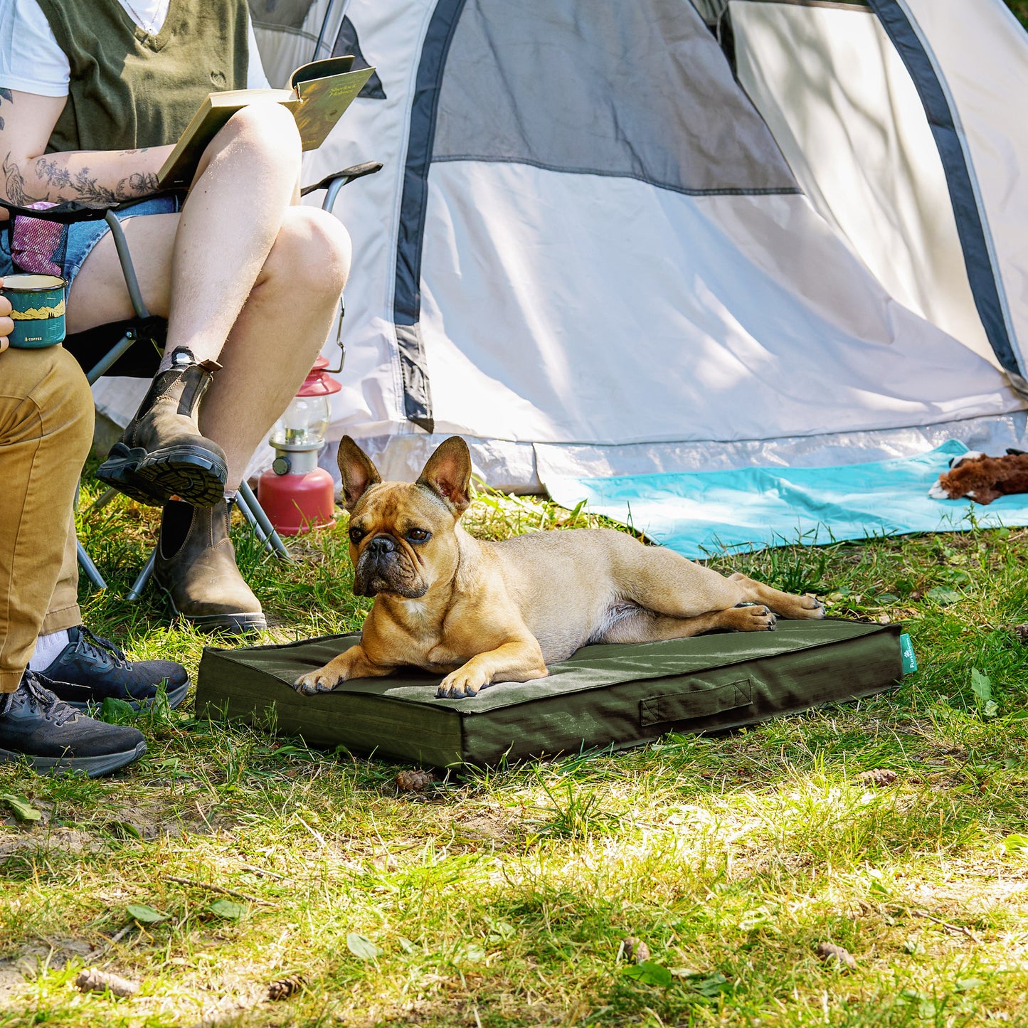 Grid Indoor-Outdoor Deluxe Mattress Pet Bed