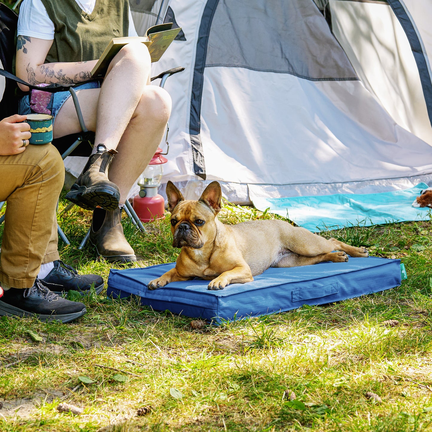 Grid Indoor-Outdoor Deluxe Mattress Pet Bed