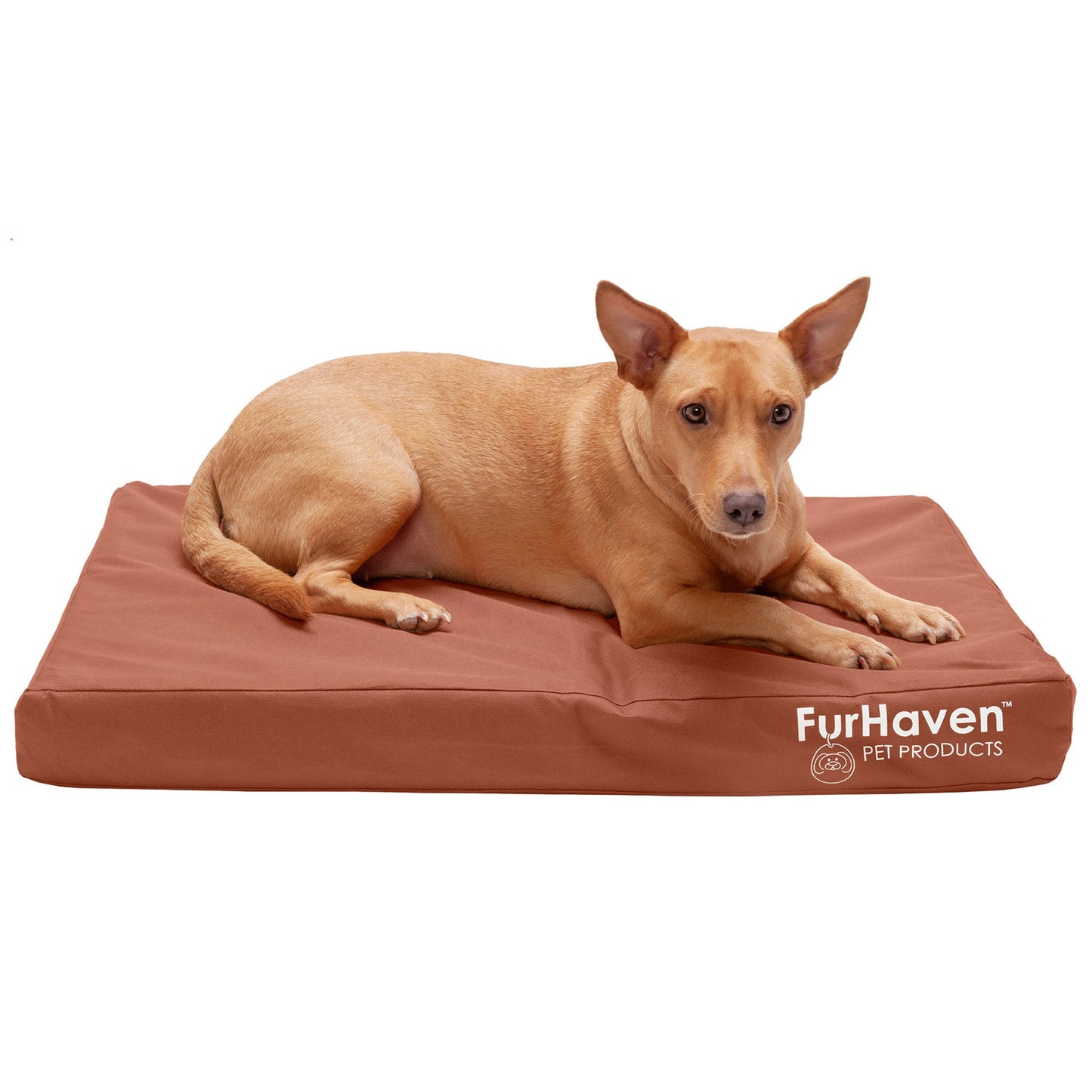 Deluxe Mattress Dog Bed - Indoor/Outdoor Oxford