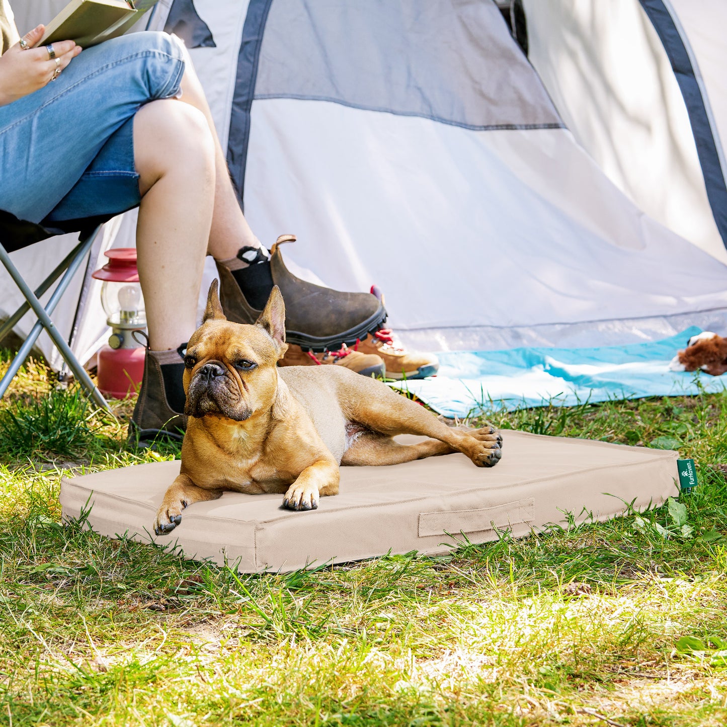 Premium Indoor-Outdoor Deluxe Mattress Pet Bed