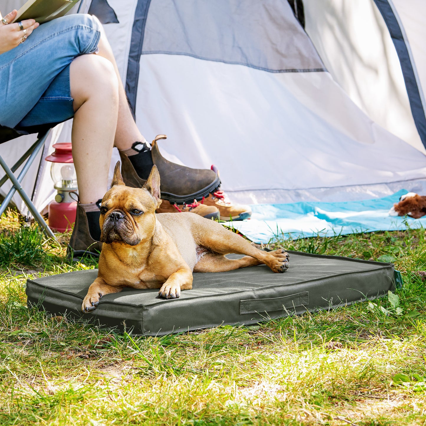 Premium Indoor-Outdoor Deluxe Mattress Pet Bed