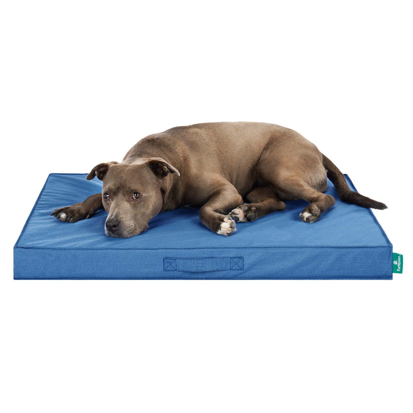 Grid Indoor-Outdoor Deluxe Mattress Pet Bed