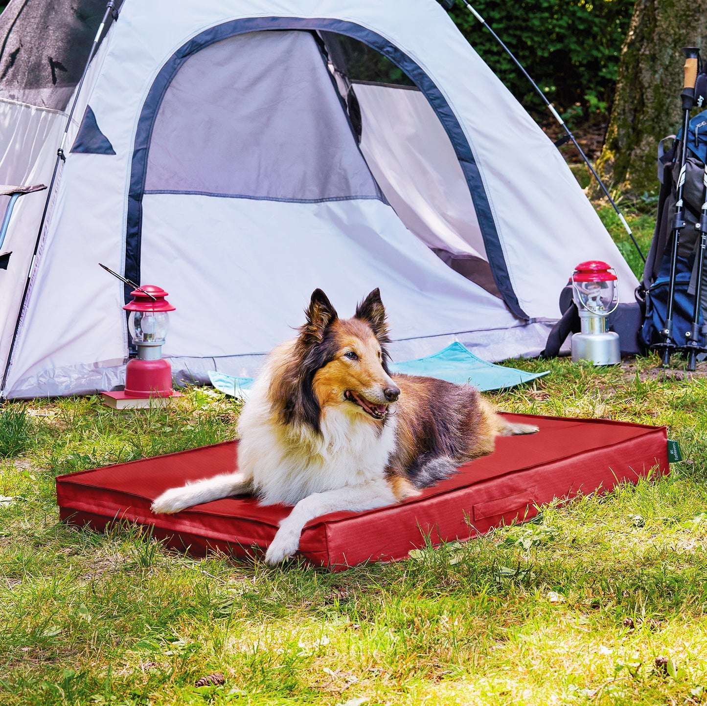 Grid Indoor-Outdoor Deluxe Mattress Pet Bed