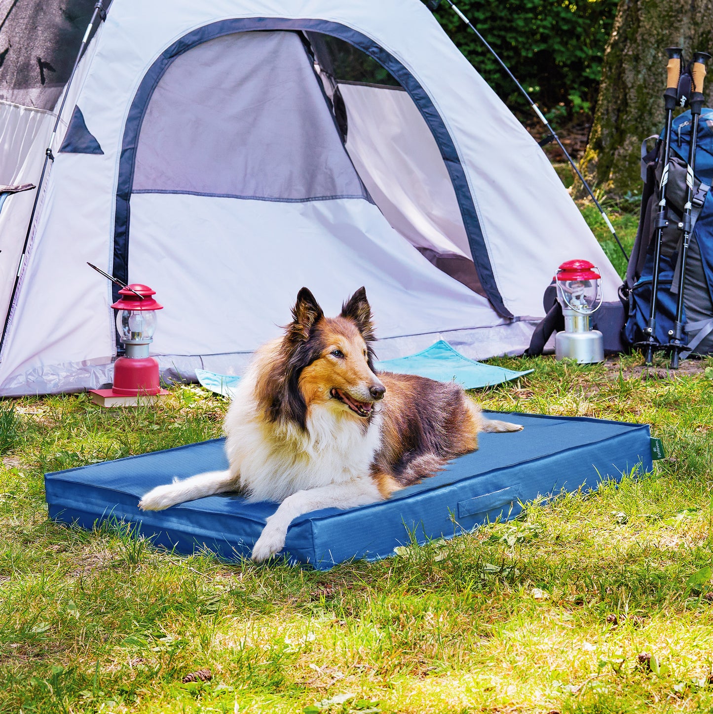 Grid Indoor-Outdoor Deluxe Mattress Pet Bed