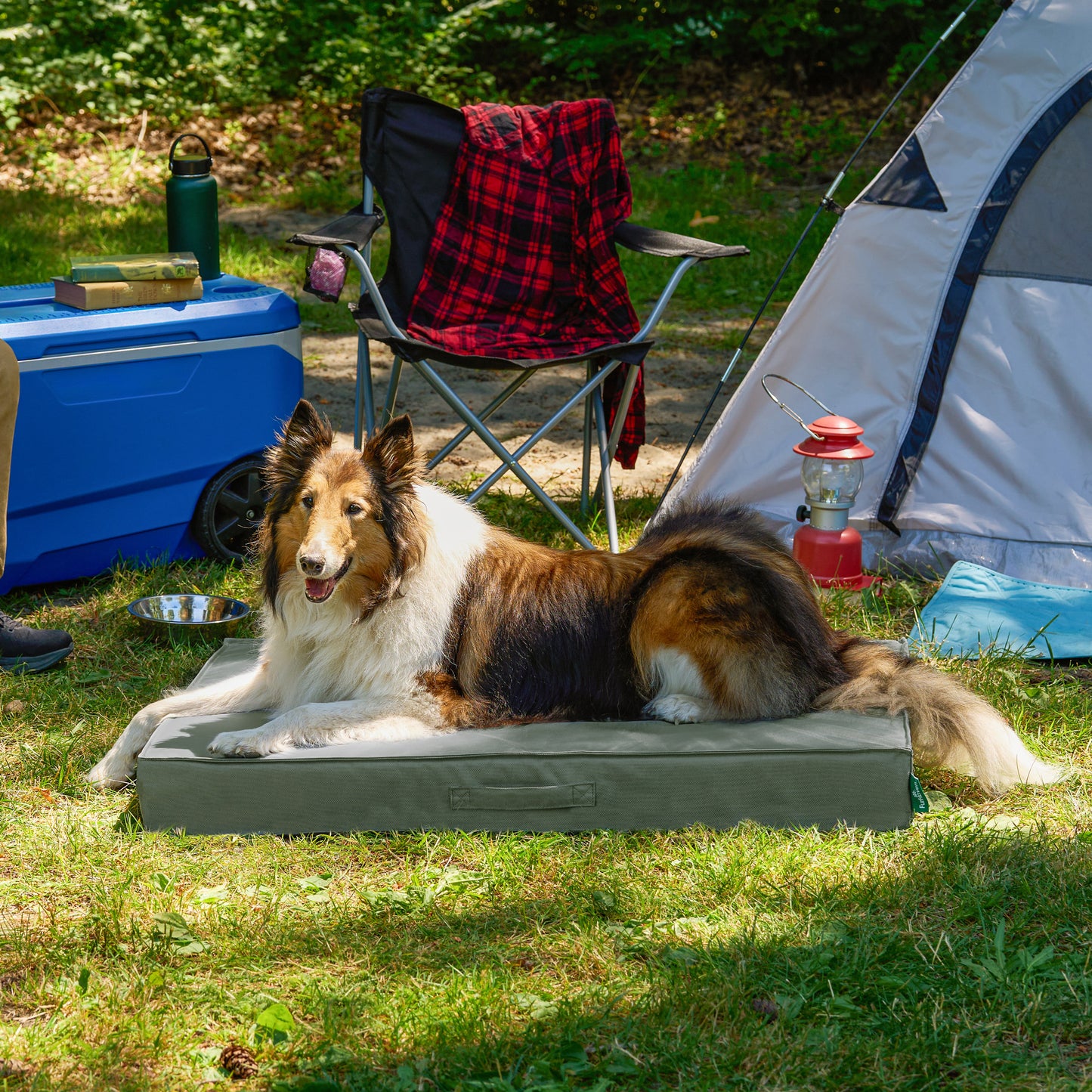 Premium Indoor-Outdoor Deluxe Mattress Pet Bed