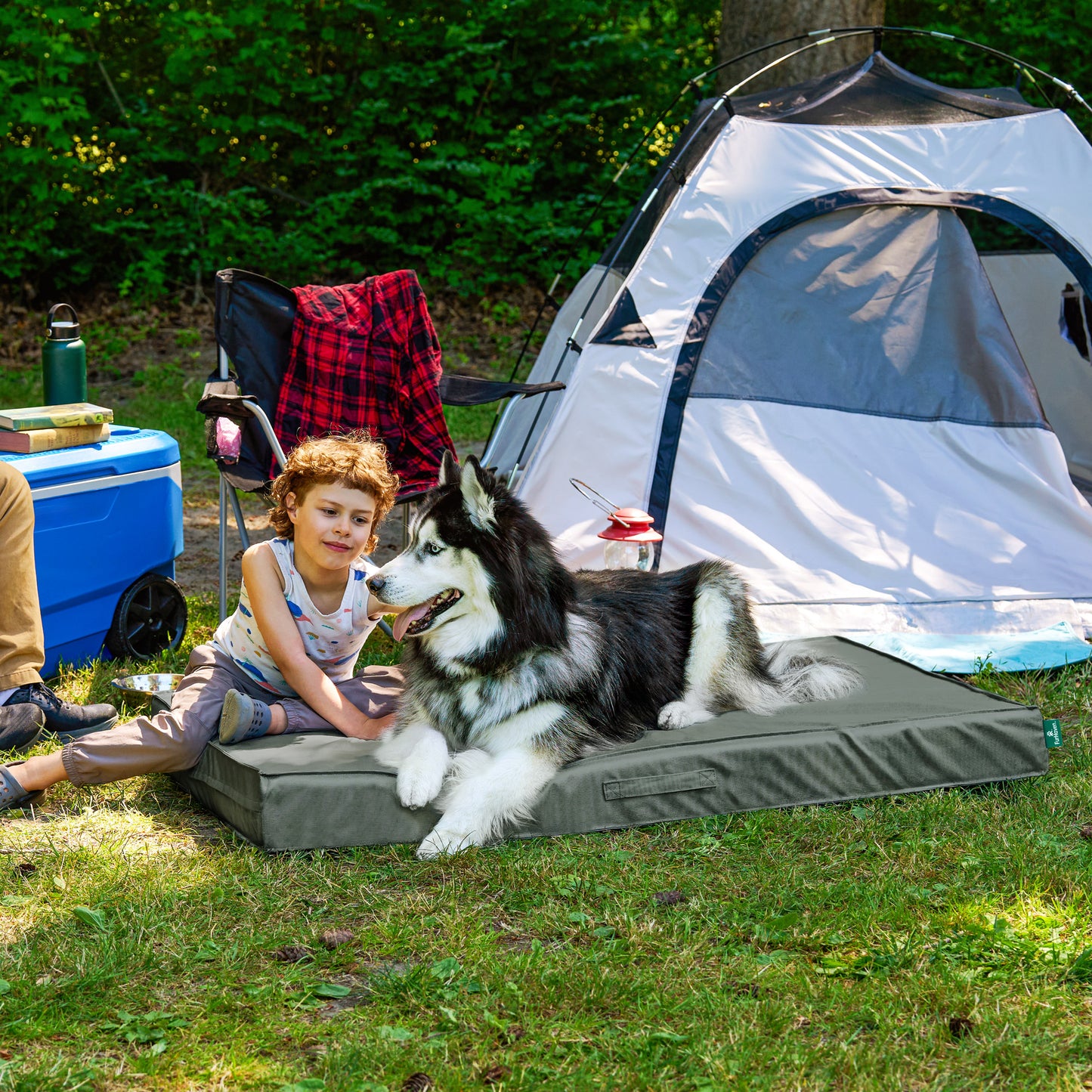 Premium Indoor-Outdoor Deluxe Mattress Pet Bed