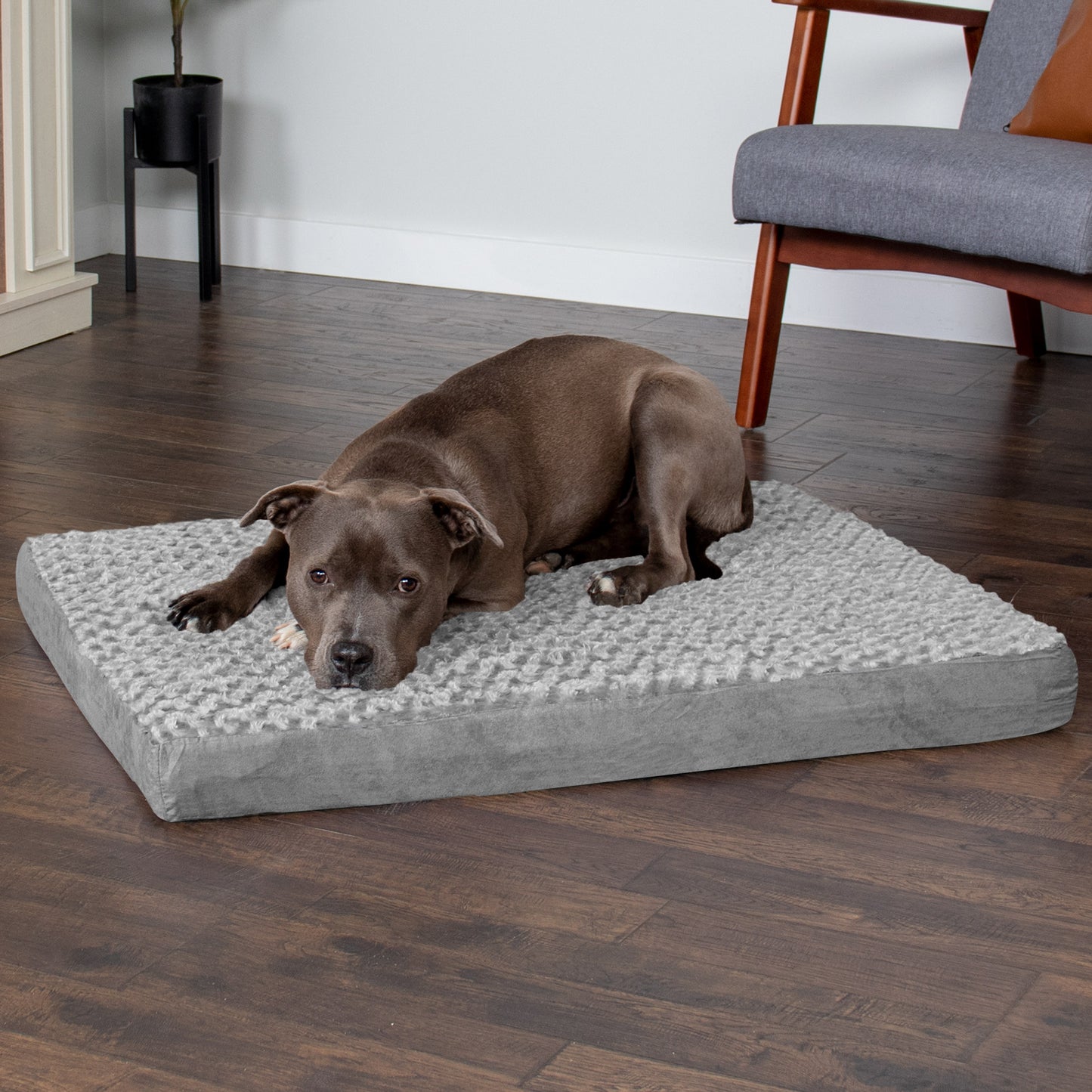 Deluxe Mattress Dog Bed - Ultra Plush