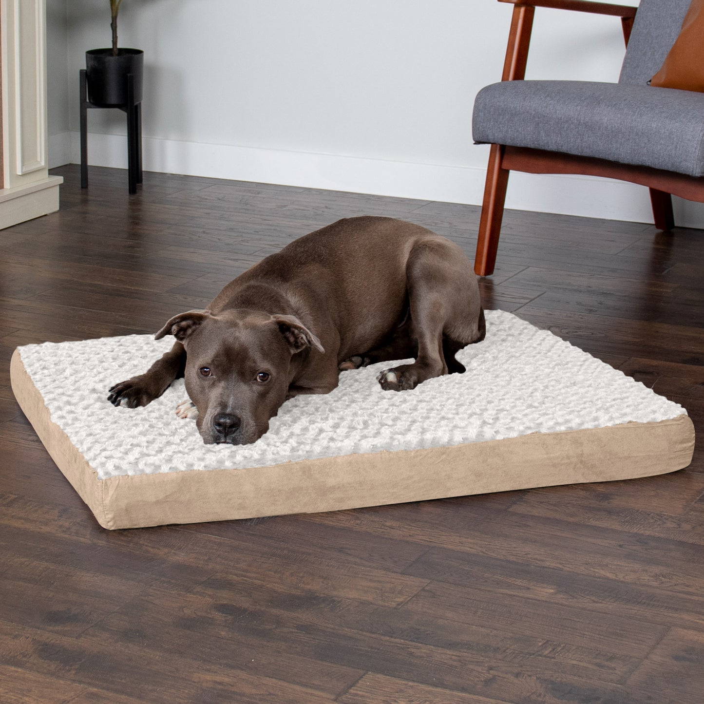 Deluxe Mattress Dog Bed - Ultra Plush