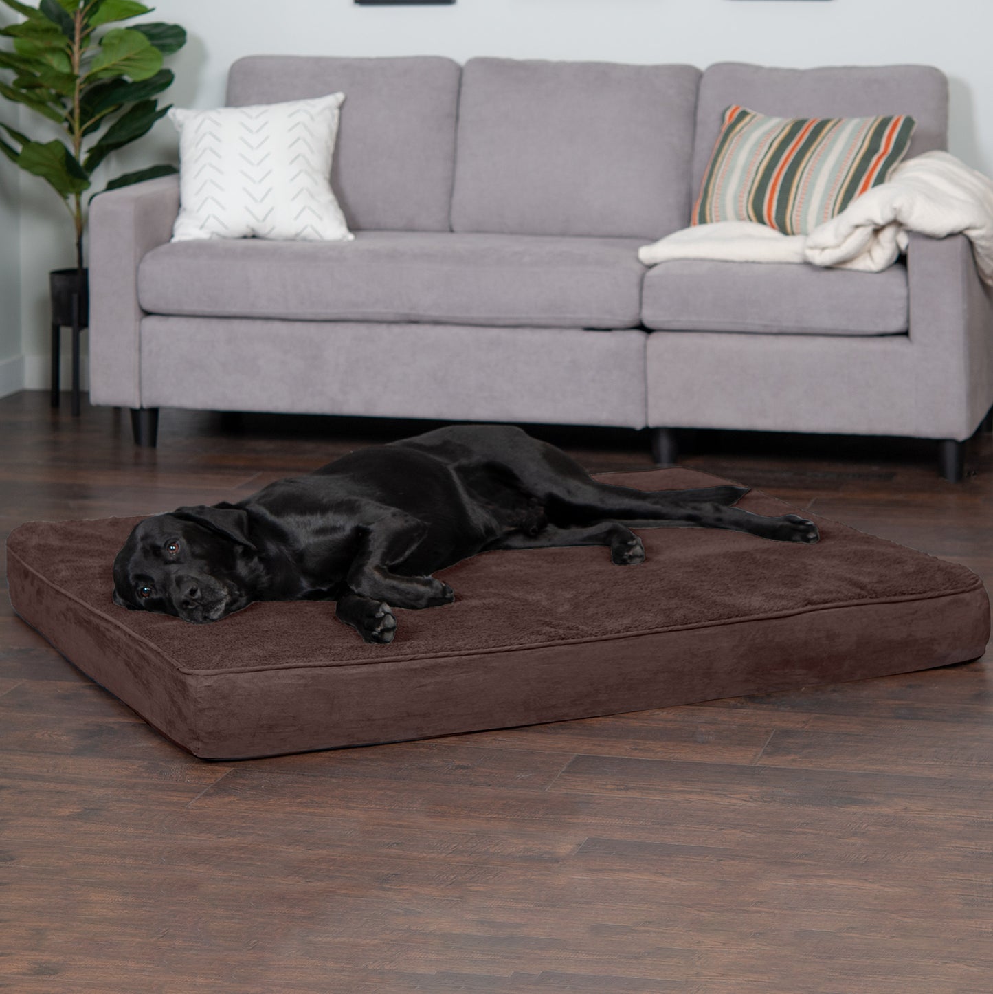 Deluxe Mattress Dog Bed - Terry & Suede