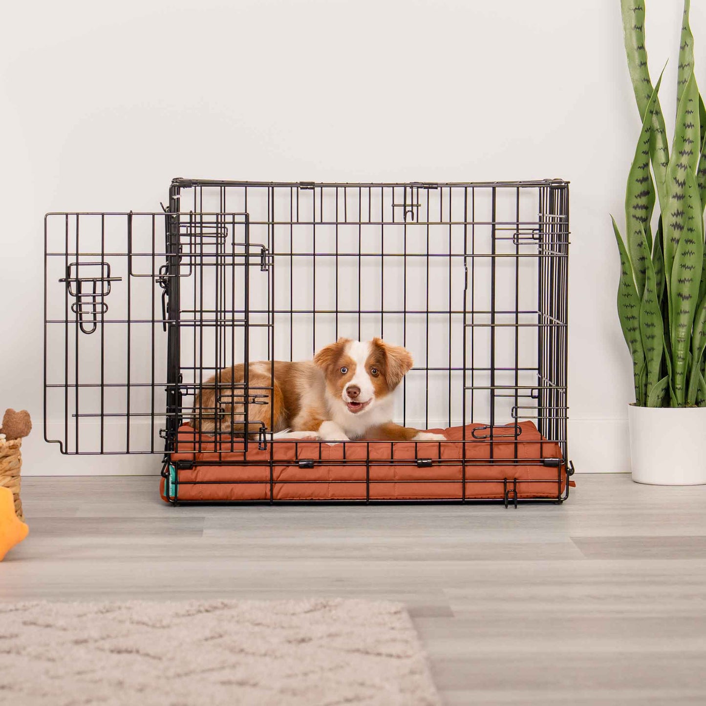 Puffy Quilt Crate Orthopedic Pet Bed