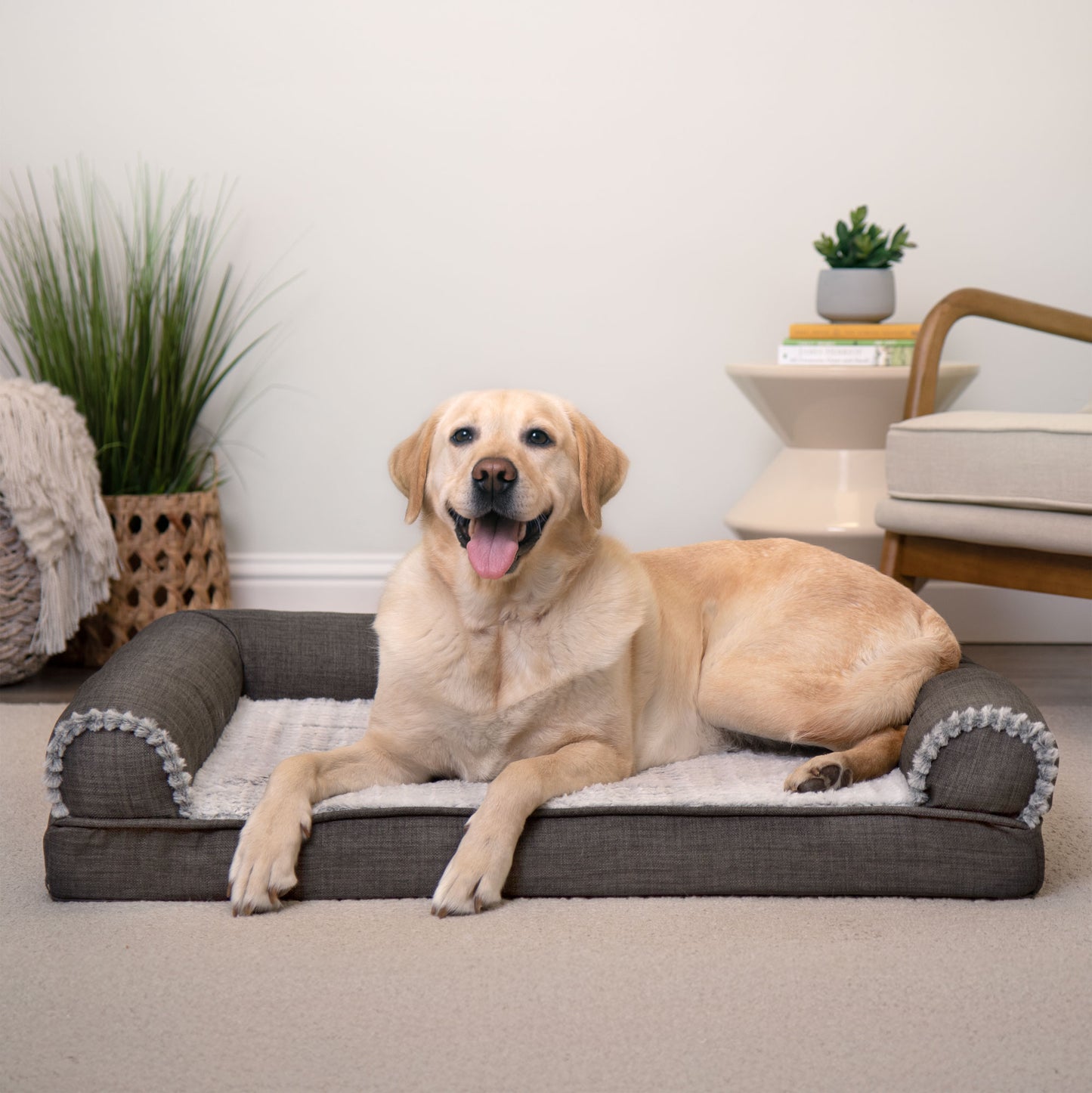 Sofa Dog Bed - Luxe Fur & Performance Linen