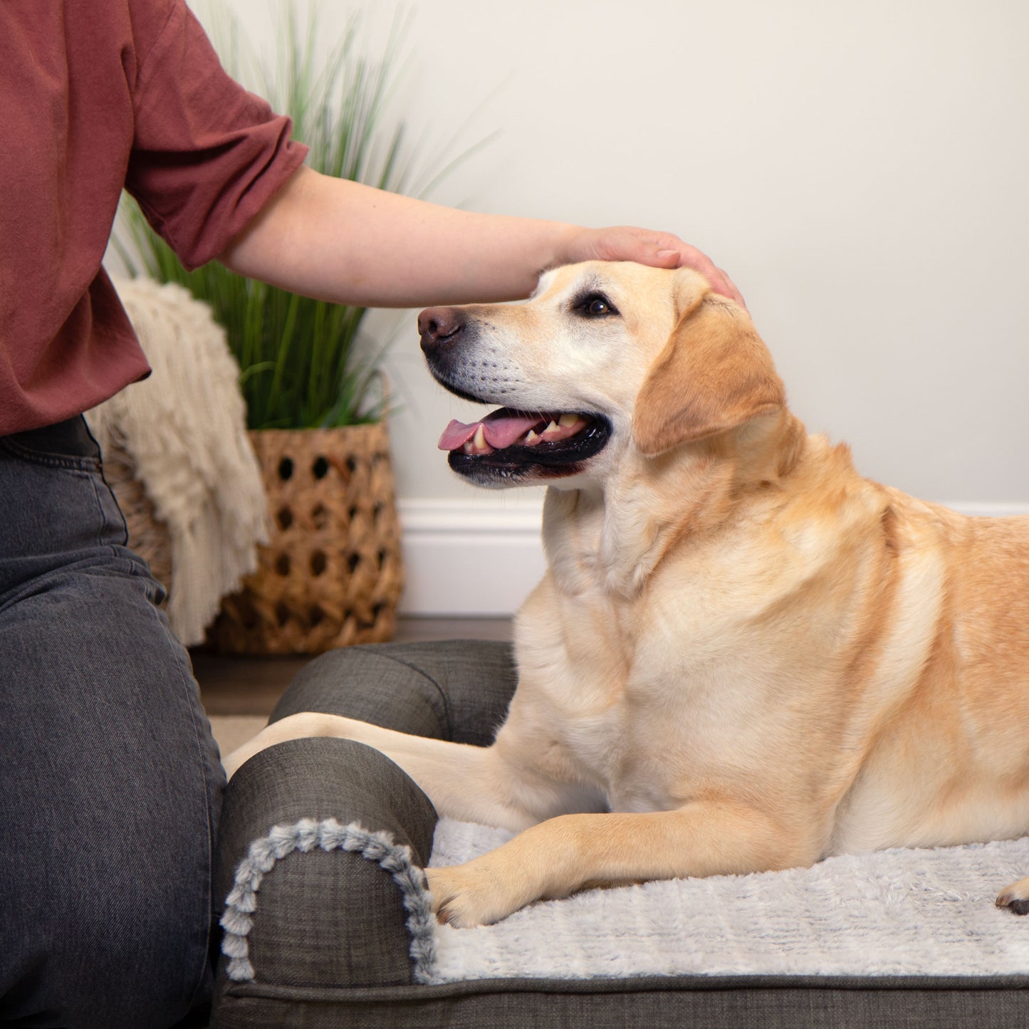 Sofa Dog Bed - Luxe Fur & Performance Linen