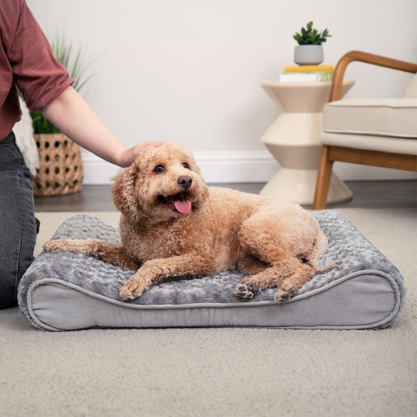 Luxe Lounger Contour Dog Bed - Ultra Plush