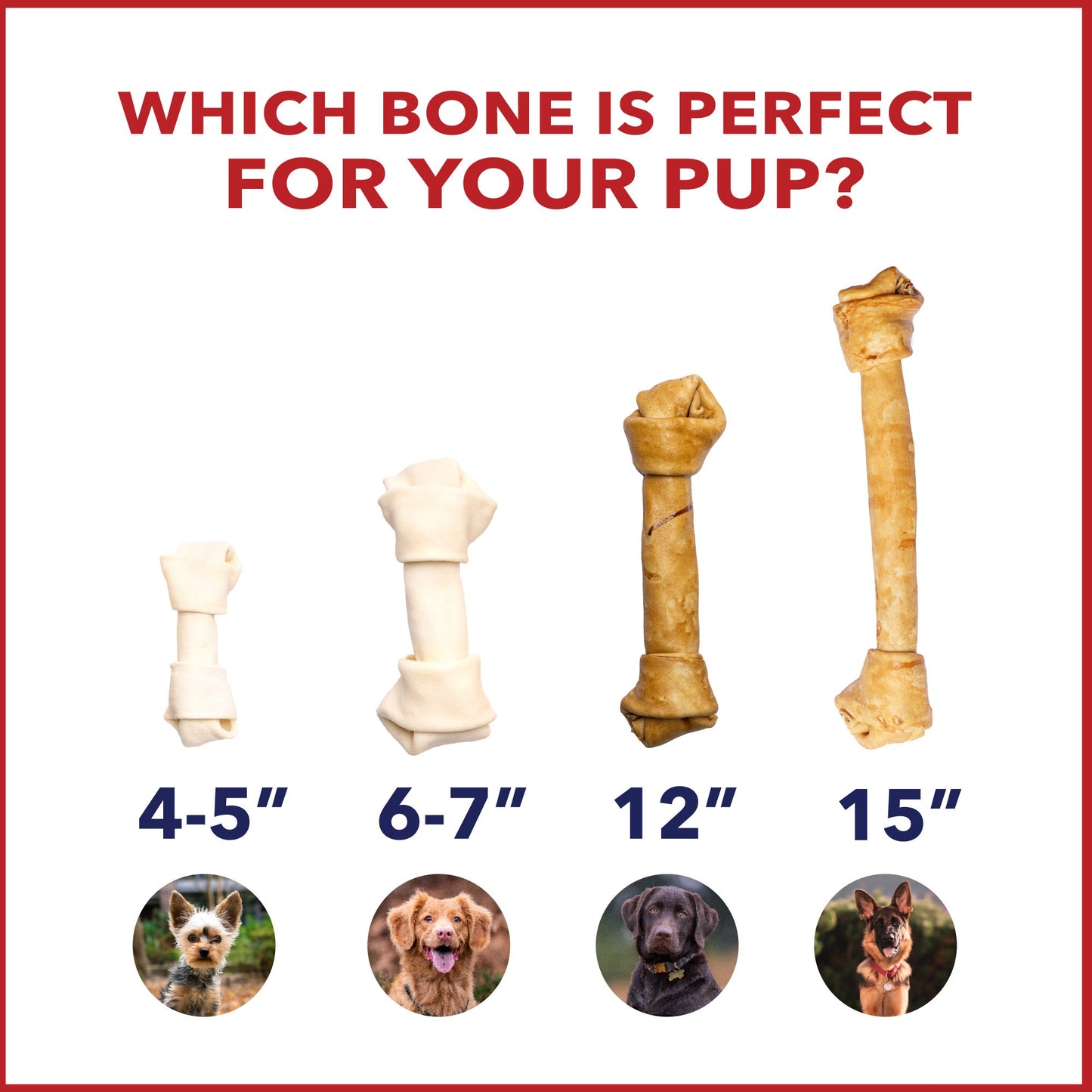 Pet Factory - Made in USA Beefhide Bone Dog Treat, 12"-15", Chicken Flavored