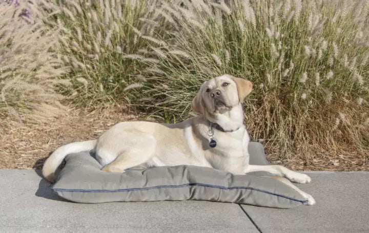 Premium Pet Beds