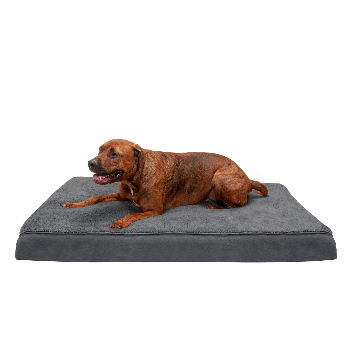 Deluxe Mattress Dog Bed - Terry & Suede