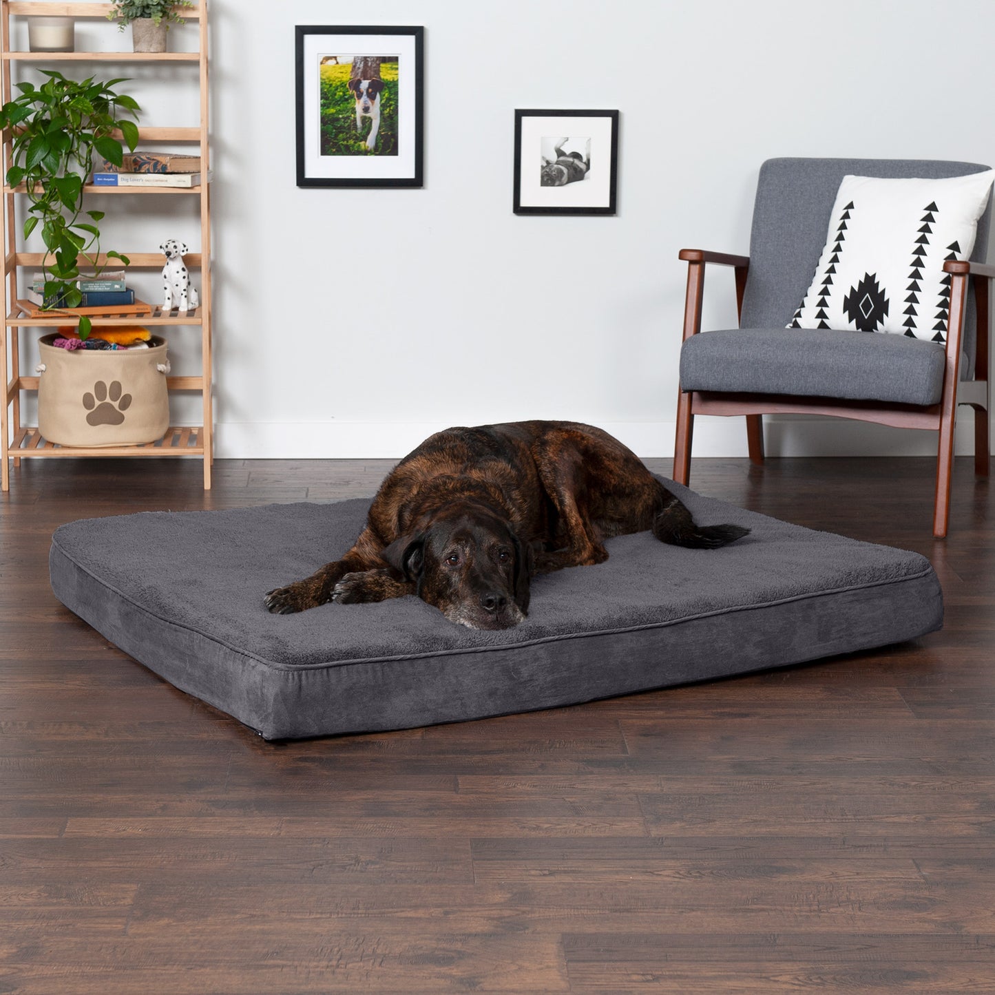 Deluxe Mattress Dog Bed - Terry & Suede