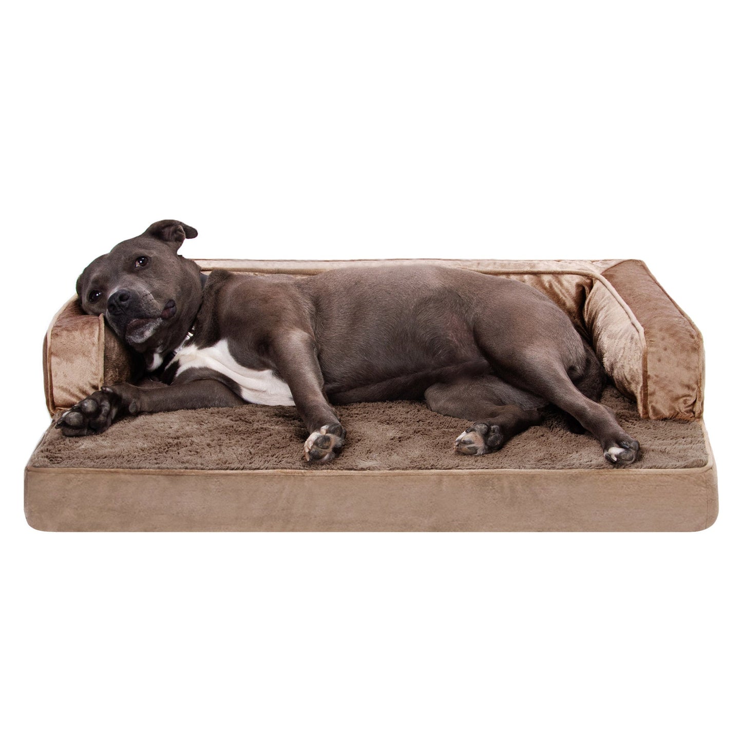 Sofa Dog Bed - Plush & Velvet Comfy Couch