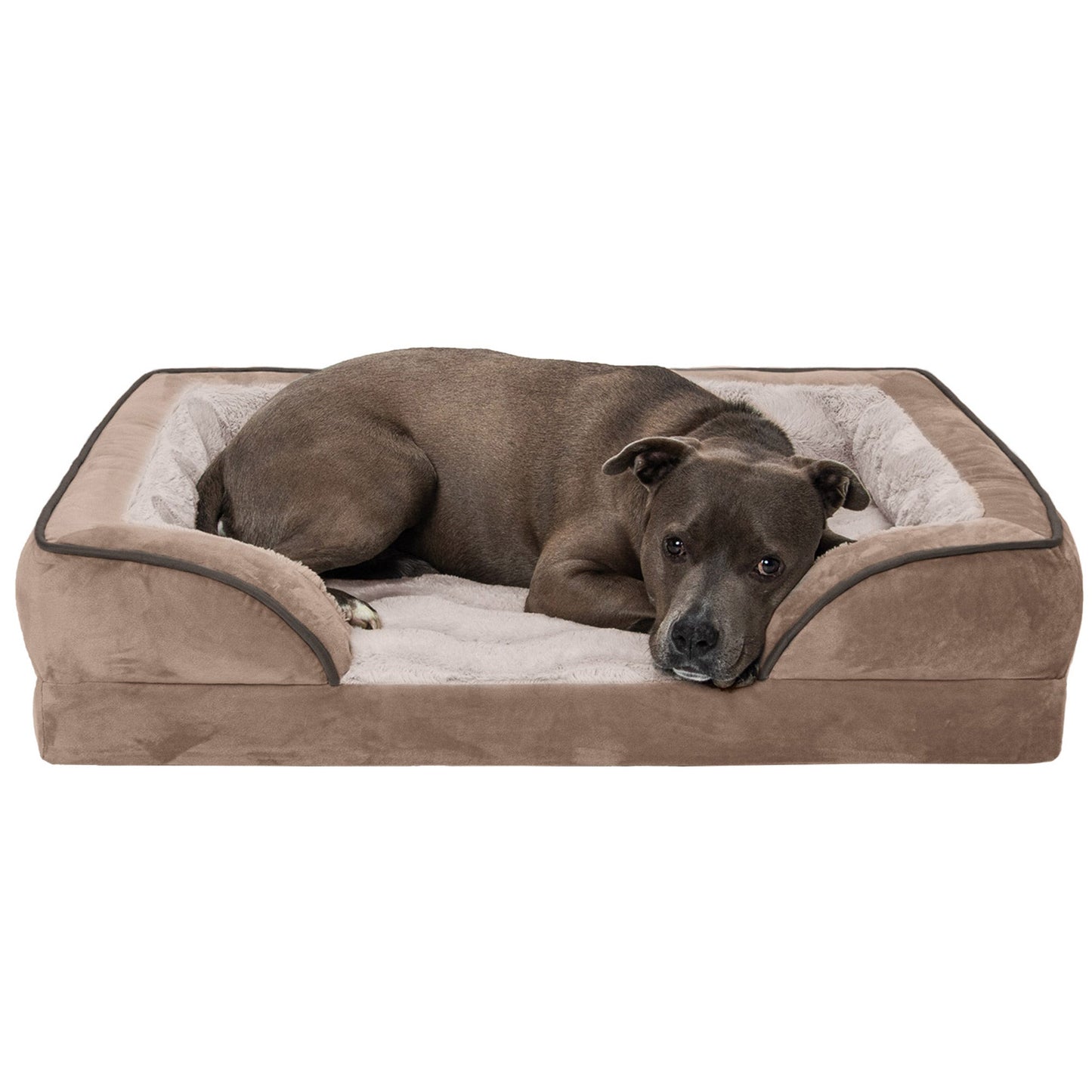 Sofa Dog Bed - Velvet Waves Perfect Comfort