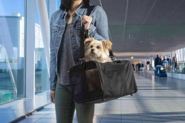 Travel Pet Carriers