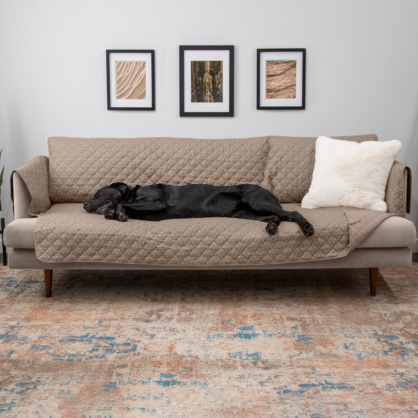 Water-Resistant Paw Print Furniture Protector