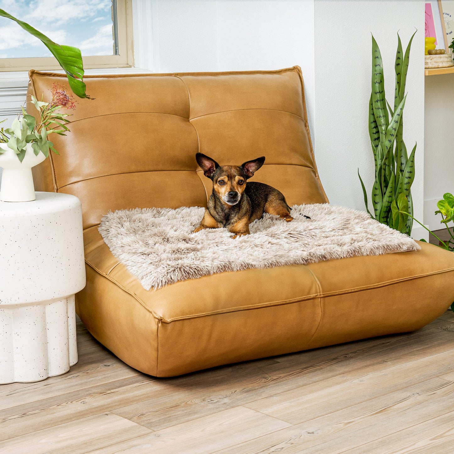 Waterproof Pet Throw Blanket - Long Fur & Velvet