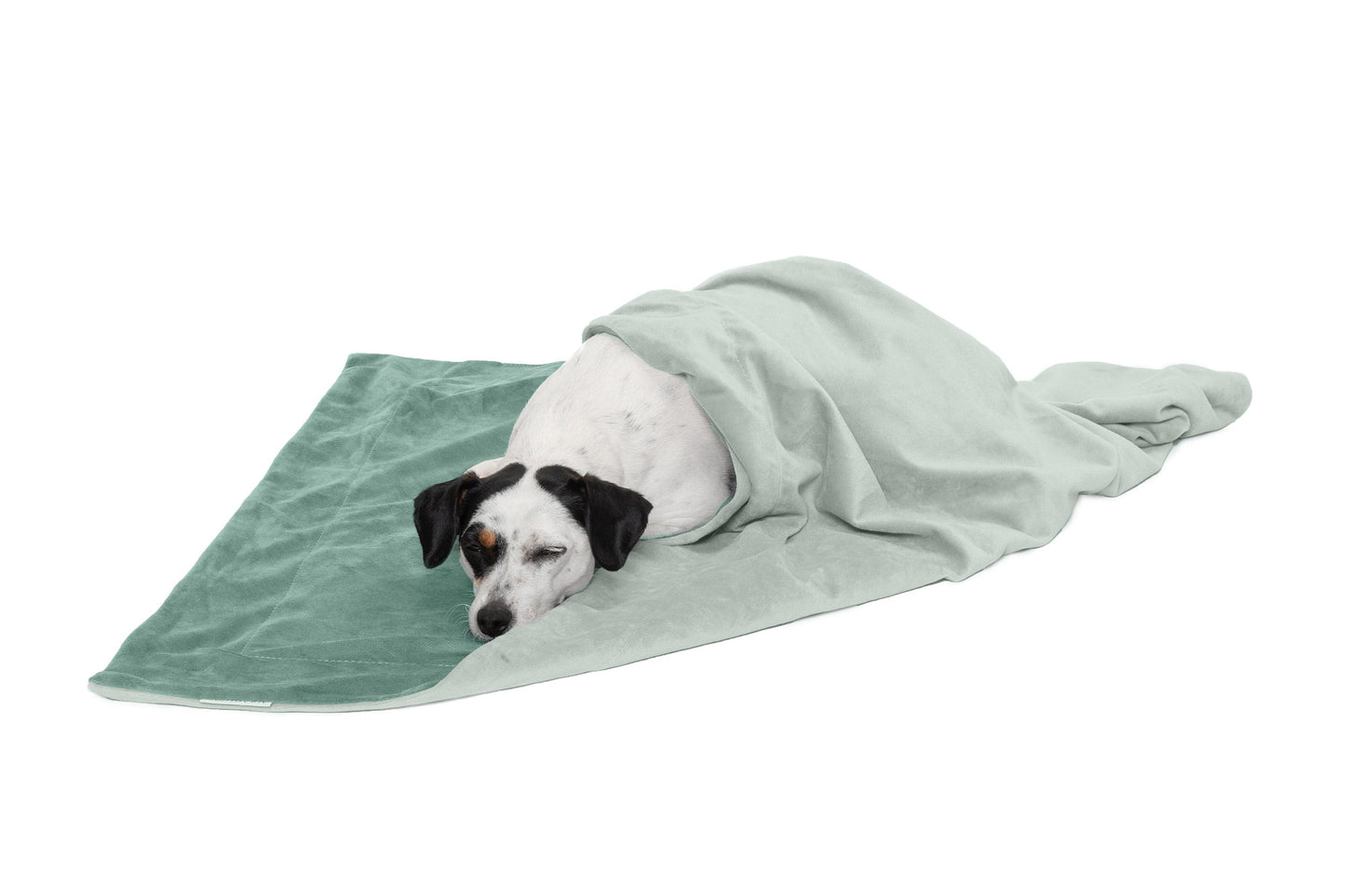 Waterproof Velvet Pet Throw Blanket