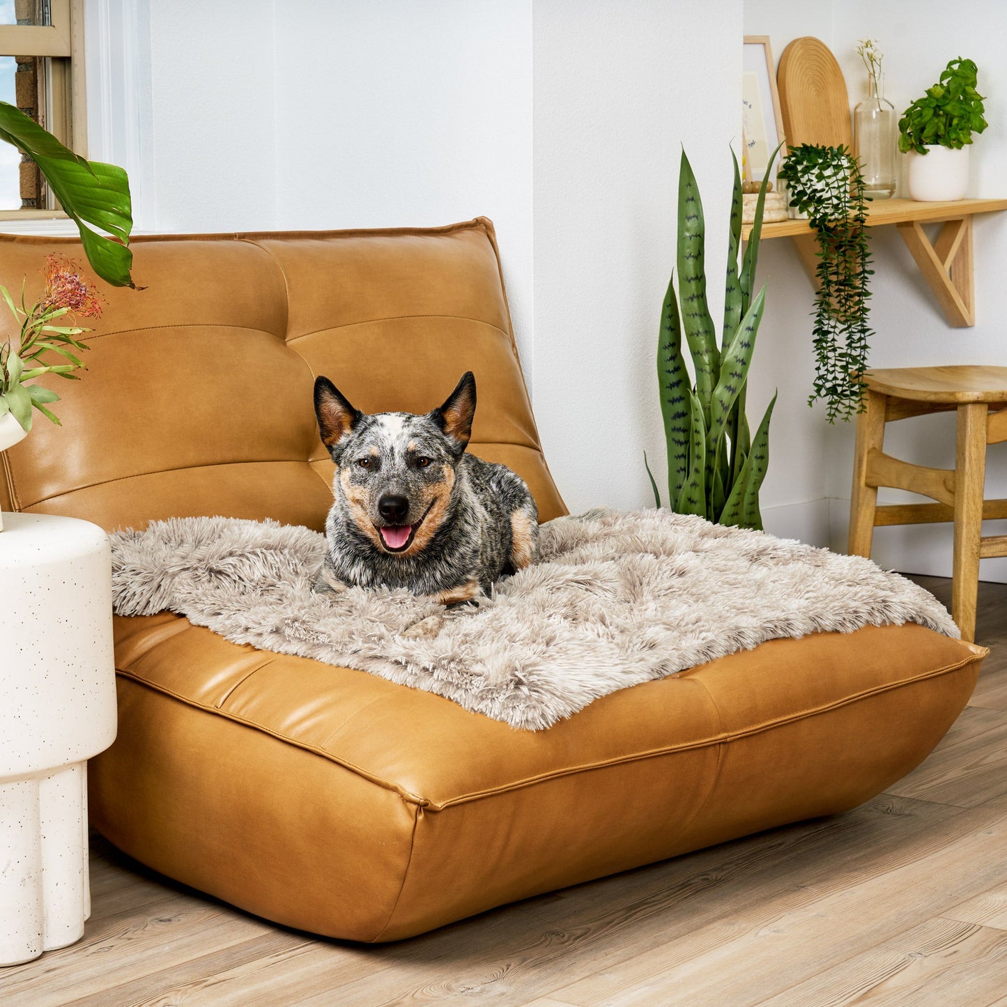 Waterproof Pet Throw Blanket - Long Fur & Velvet
