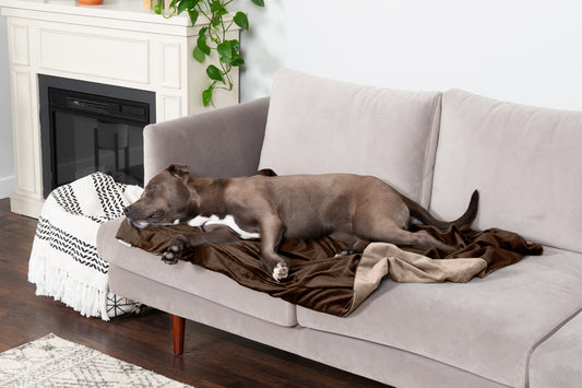 Waterproof Velvet Pet Throw Blanket