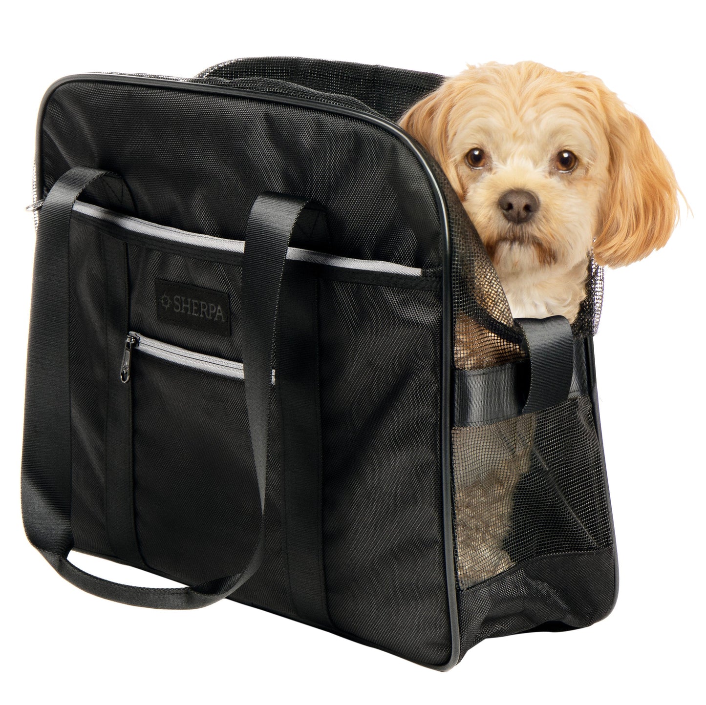 Around Town Fashionable Pet Tote for Cats & Dogs, Black, Large