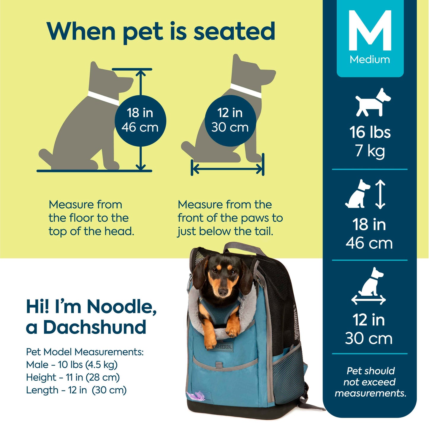 Elevation Pet Backpack for Cats & Dogs, Blue, Medium