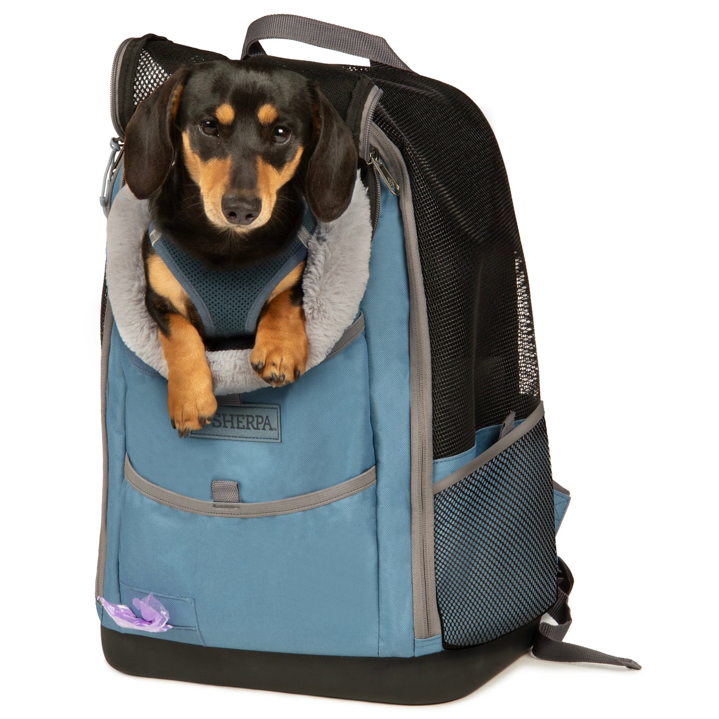 Elevation Pet Backpack for Cats & Dogs, Blue, Medium
