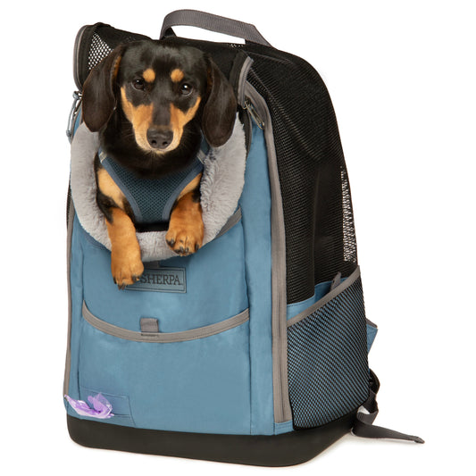 Elevation Pet Backpack for Cats & Dogs, Blue, Medium