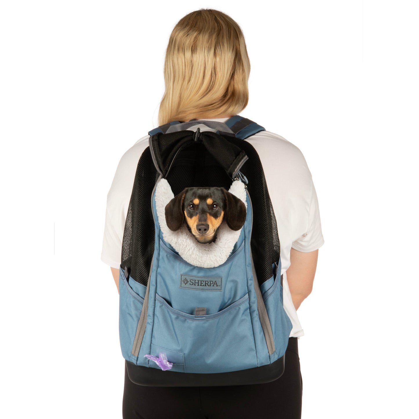 Elevation Pet Backpack for Cats & Dogs, Blue, Medium