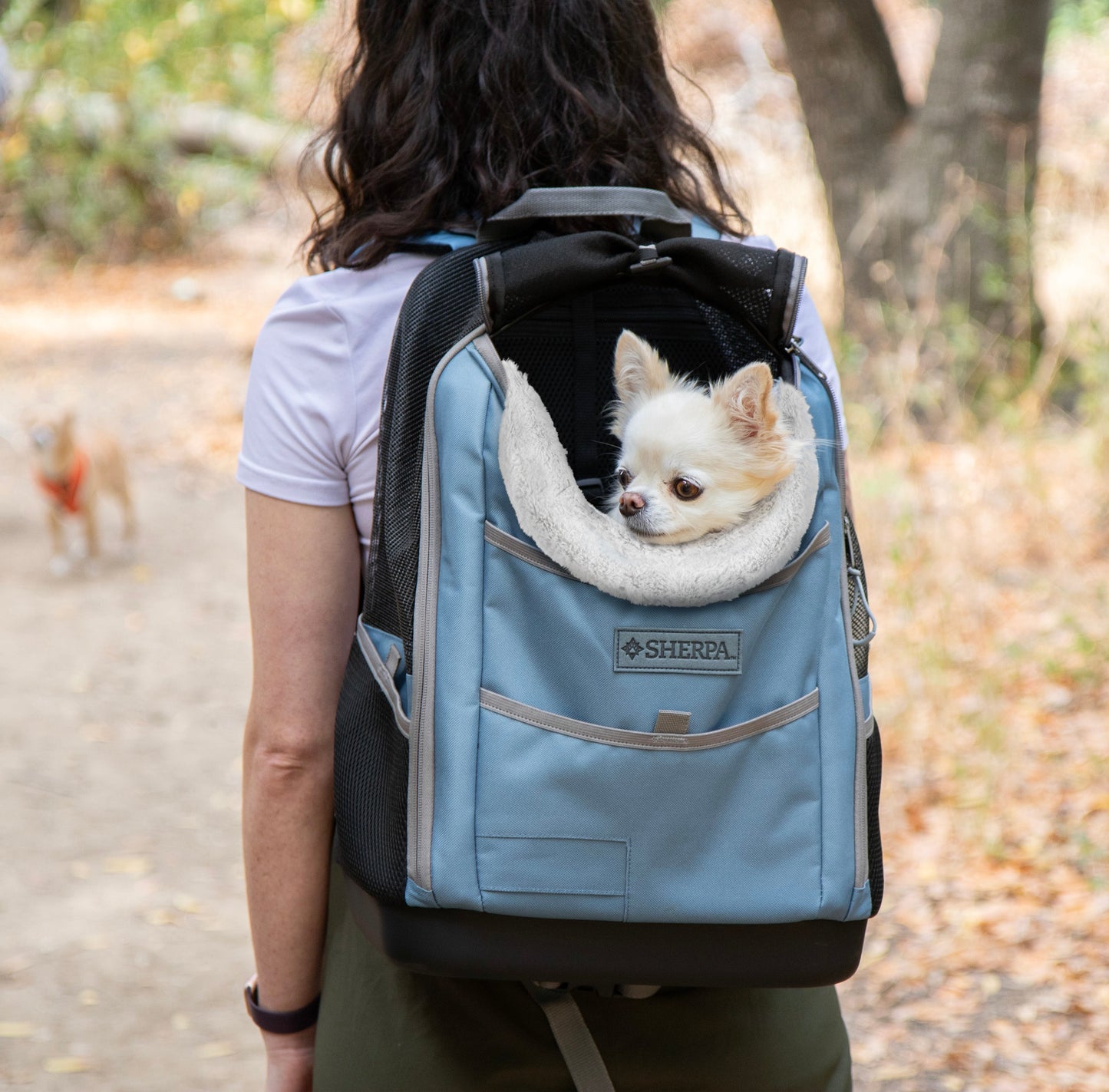 Elevation Pet Backpack for Cats & Dogs, Blue, Medium