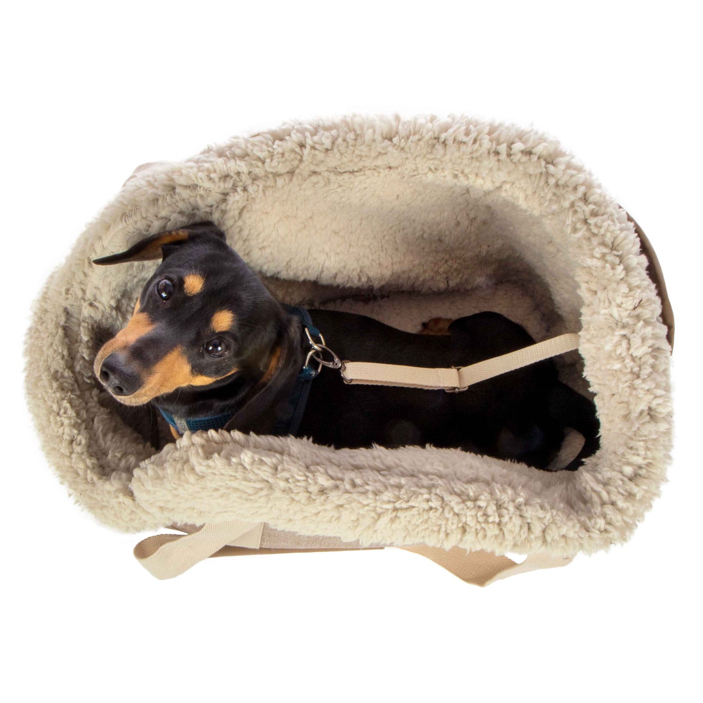 Luxe Tote Fashionable Pet Carrier, Tan, Medium