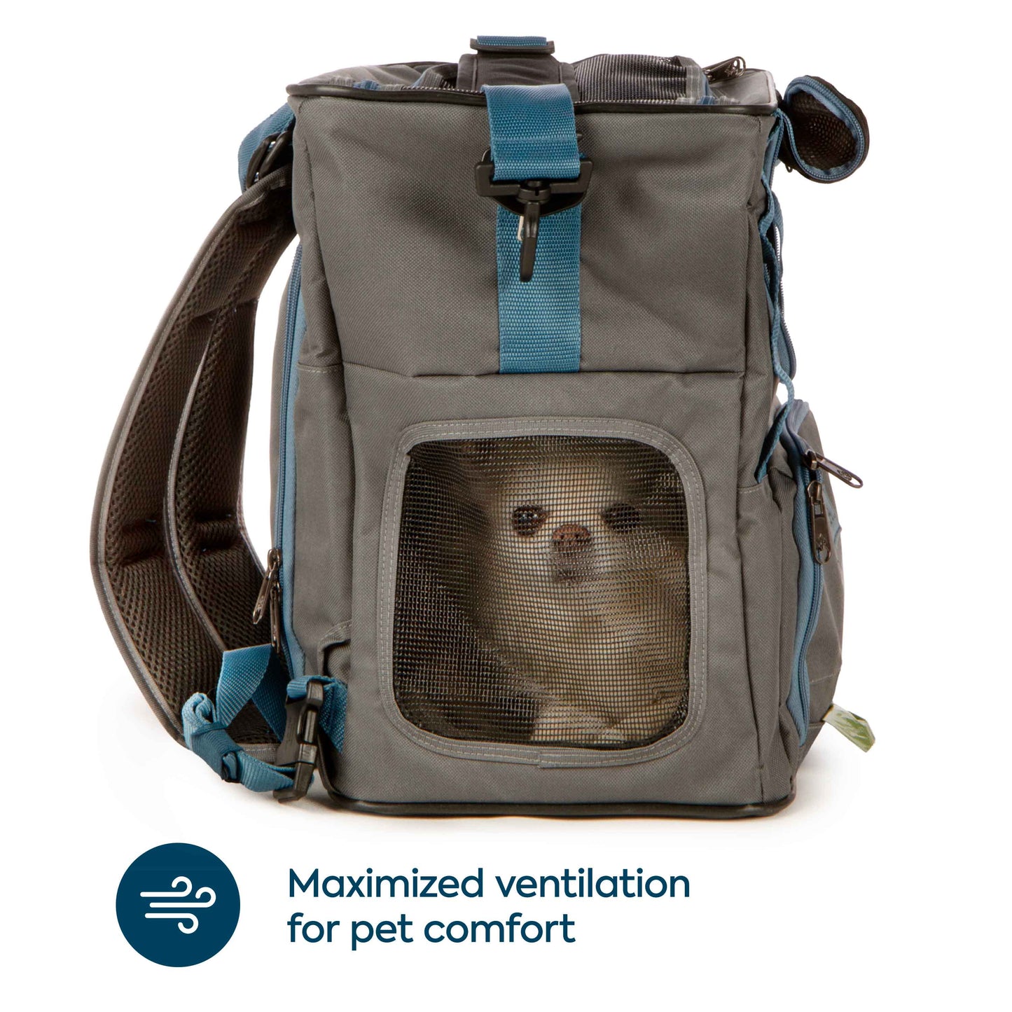 Trek Tote 2-in-1 Pet Backpack & Tote for Cats & Dogs, Medium