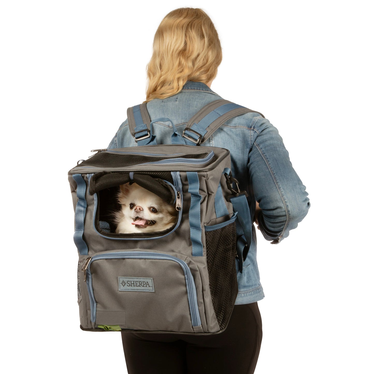Trek Tote 2-in-1 Pet Backpack & Tote for Cats & Dogs, Medium