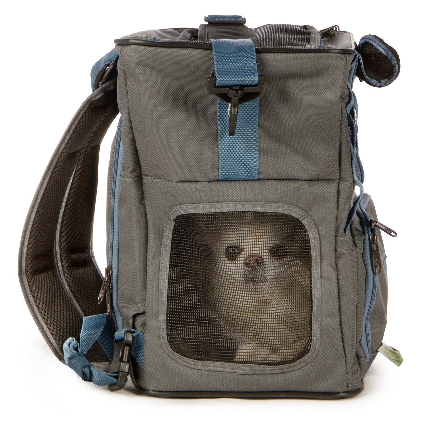 Trek Tote 2-in-1 Pet Backpack & Tote for Cats & Dogs, Medium