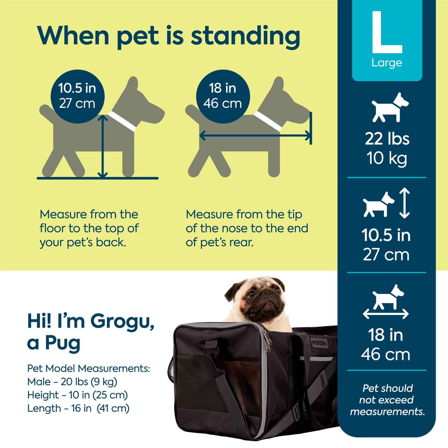 Essential Soft Sided Pet Carrier for Cats & Dogs, Black, Large