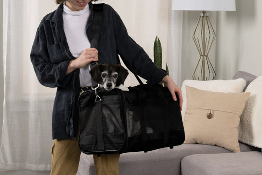 Original Deluxe Travel Bag Pet Carrier