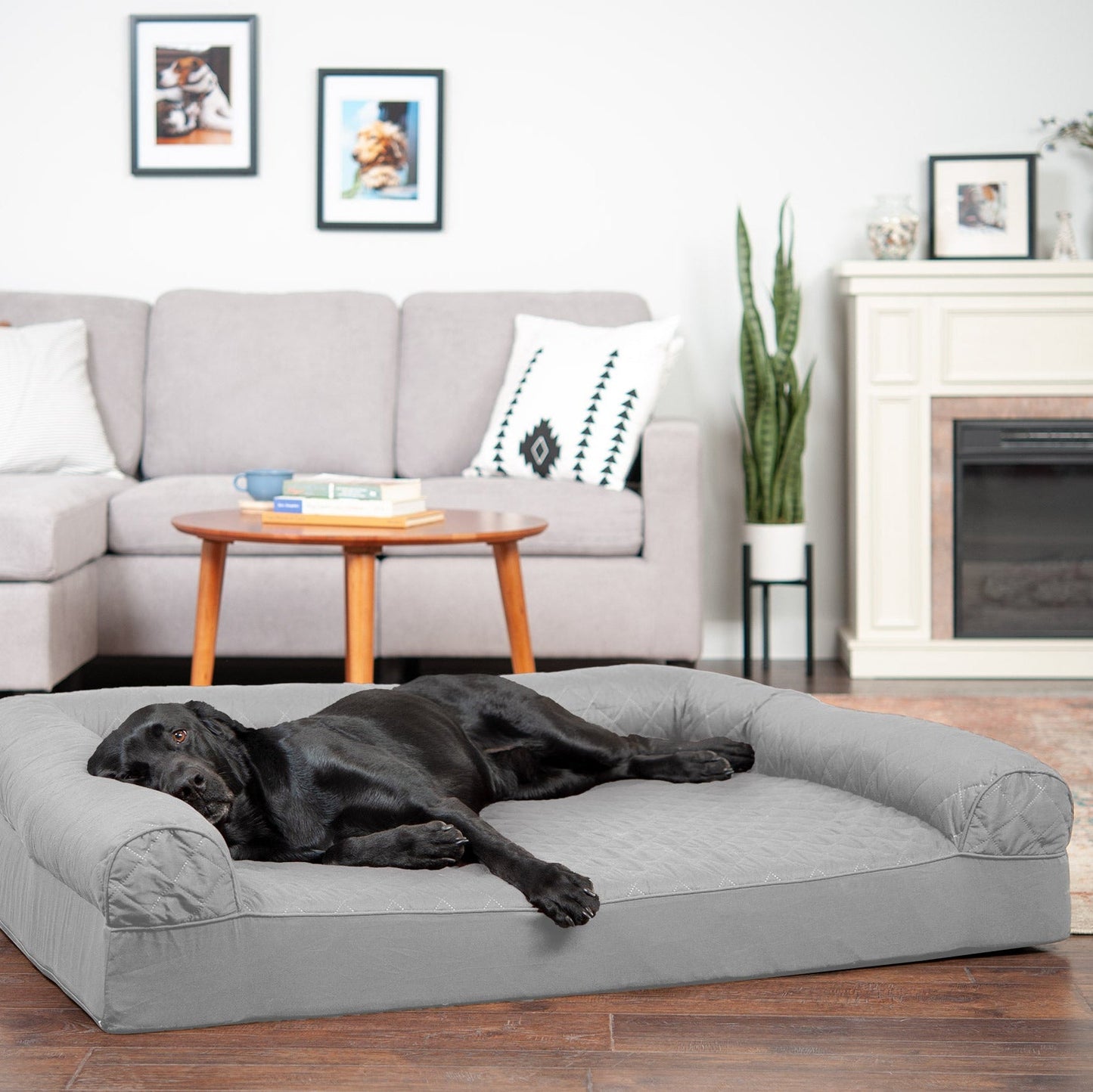 Sofa Dog Bed - Quilted